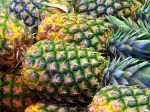 Španielska polícia našla vo vydlabaných ananásoch z Kostariky 67 kg kokaínu