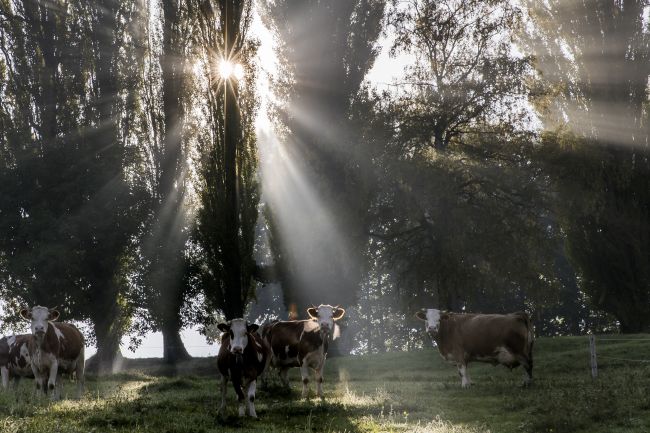 Dnešný sviatok bude slnečný, vrátia sa aj letné teploty