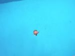 Video: Muži doteraz nemôžu uveriť tomu, čo sa stalo po tom, ako kamarát skočil do vody