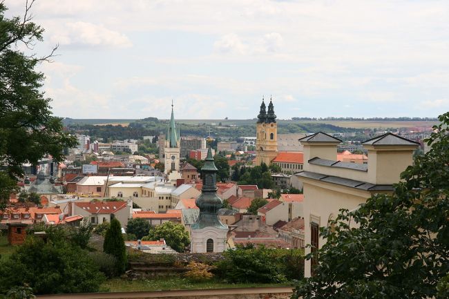 Nitra bude mať svoju vlastnú eurobankovku s vyobrazením hradu a Corgoňa