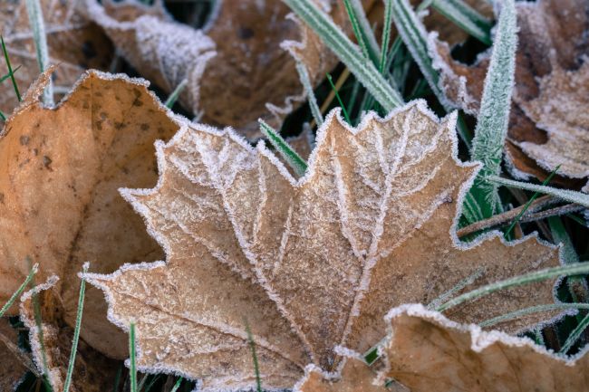 Predpoveď počasia: Ráno počítajte s prízemnými mrazmi, časť Slovenska potrápia prehánky