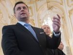 SNS je znepokojená kampaňou za prijatie sýrskych sirôt