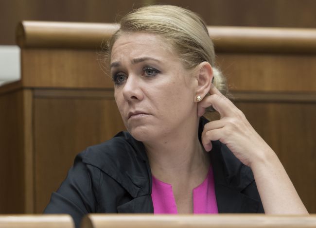 Saková si nemyslí, že by mal Fico prístup k vyšetrovaciemu spisu
