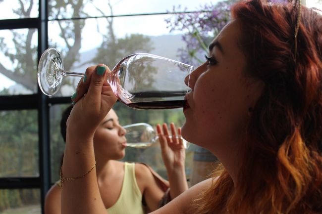 Na školy smeruje filmový projekt proti alkoholizmu dievčat