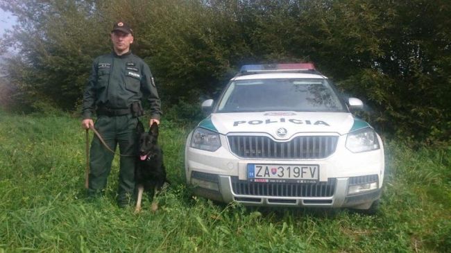 Psovod so služobným psom vypátrali na Orave nezvestnú ženu