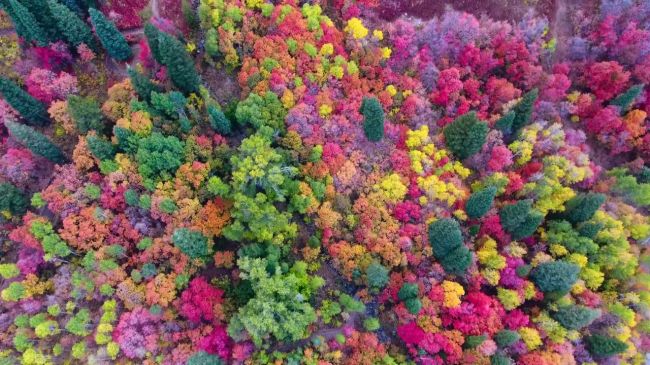Video: Muž natočil neuveriteľné zábery jesennej krajiny ako z rozprávky