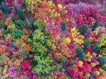 Video: Muž natočil neuveriteľné zábery jesennej krajiny ako z rozprávky