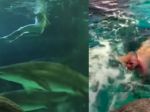 Video: Nahý muž skočil do akvária so žralokmi