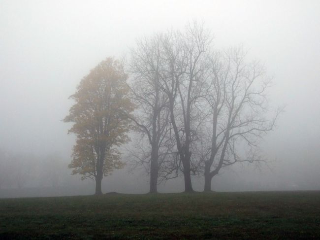 Predpoveď počasia: Novembrová hmla zhasína slnko