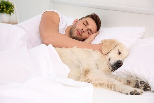 Oplatí sa spávať so psom v posteli?