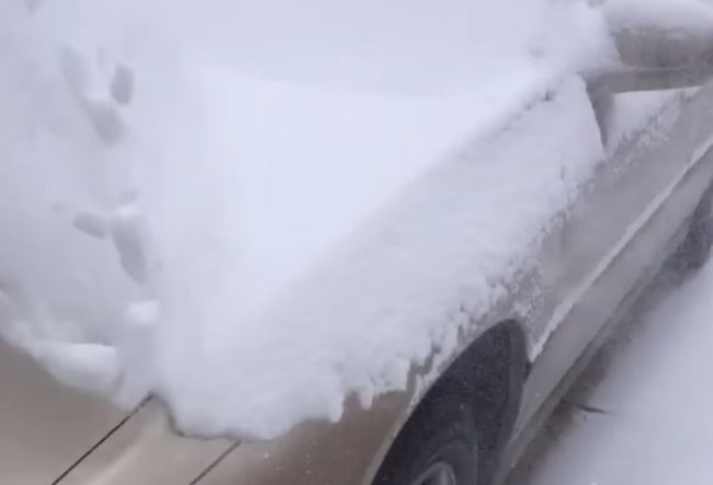 Video: Ako čo najrýchlejšie odhrnúť sneh z auta