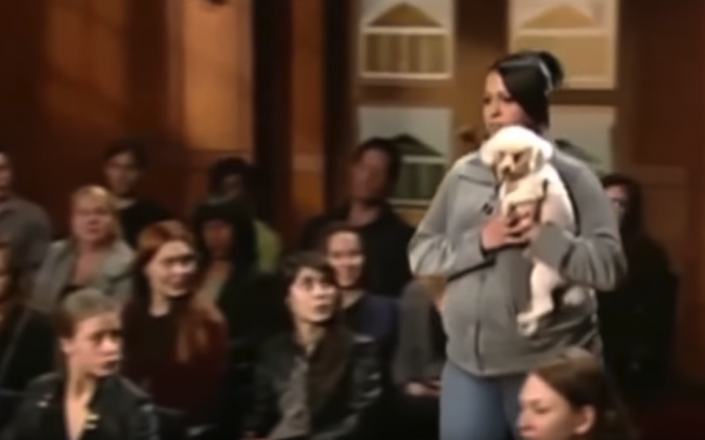 Video: Sudkyňa vyzvala ženu, aby priniesla psa. Ten prezradil všetko