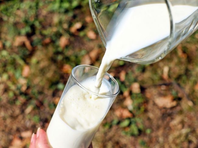 Nákupná cena mlieka v SR v októbri stúpla o 2,3 % 
