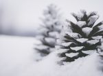 Video: V banskom mestečku natierali sneh na bielo