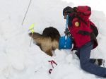 Chlapec prežil 40 minút pod snehom, našiel ho lavínový pes