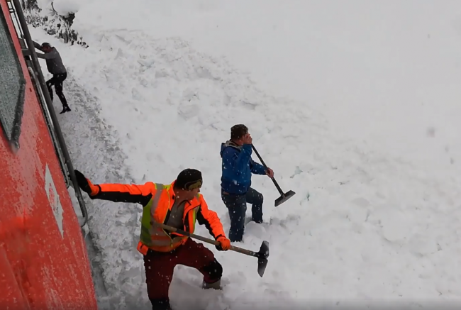Video: Železničiari zachraňovali kamzíka zavaleného snehom