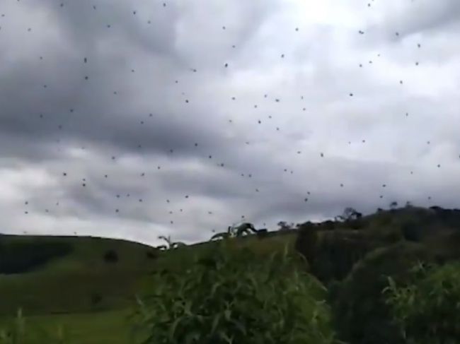 Video: Sem by ste ani nestúpili. Pozrite, čo začalo padať z neba namiesto dažďa!