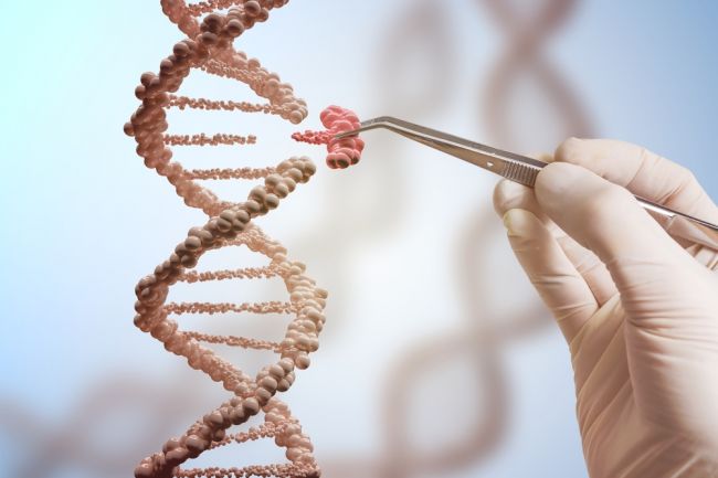 Kontroverzný vedec konal pri editovaní DNA sám a v rozpore so zákonom