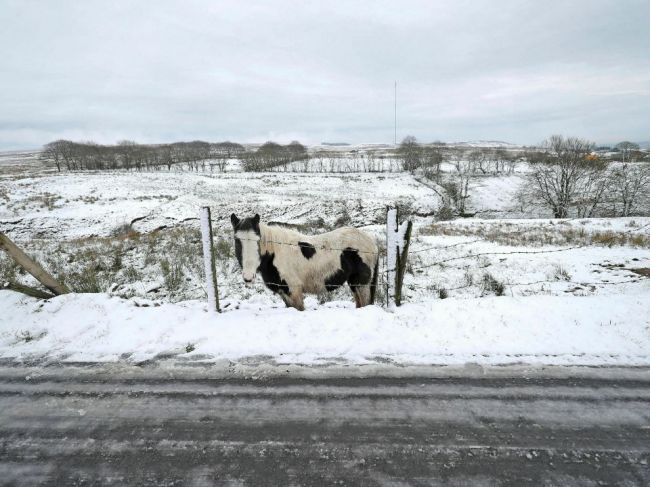 Predpoveď počasia: Vo štvrtok sa teploty začnú šplhať. O koľko stupňov sa oteplí?