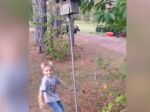 Video: Chlapec zaútočil na vtáčiu búdku. Takýto zásah zhora nečakal