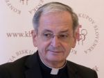 SaS sa nepáči možné zasahovanie biskupov do legislatívy