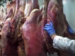 Hlavný hygienik: V súvislosti s hovädzím mäsom môže byť rizikovejšie pohraničie