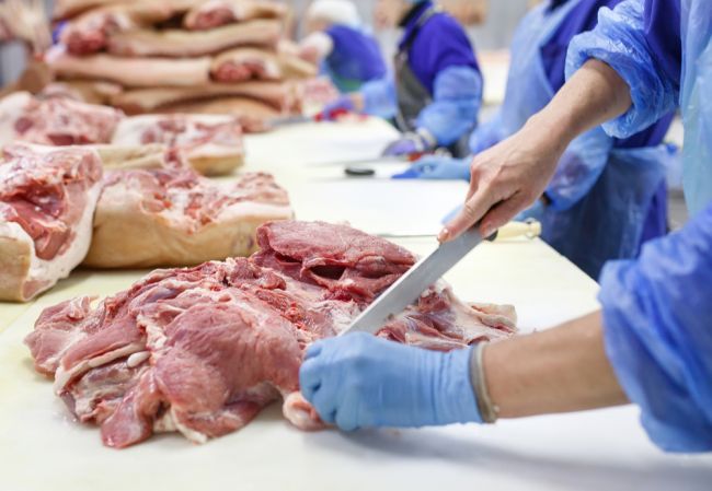 Európska komisia pošle do Poľska inšpektorov, aby preskúmali situáciu s mäsom chorých kráv