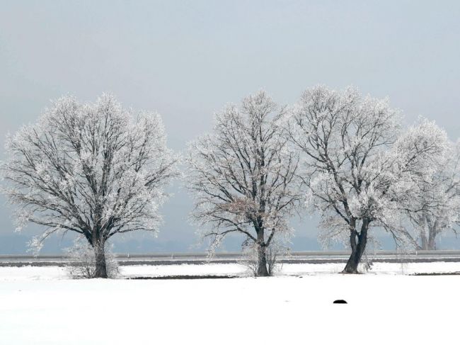 Predpoveď počasia: V piatok nás môžu prekvapiť snehové prehánky