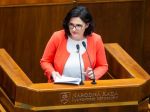 Lubyová odmieta obvinenia opozície, vidí za nimi politizáciu