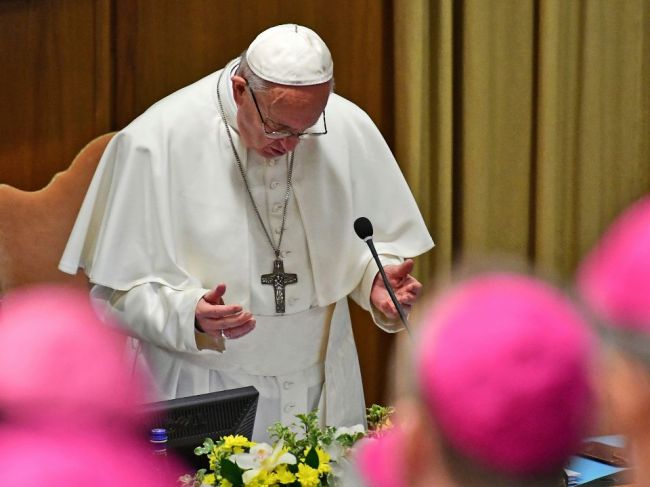 Pápež František očakáva "konkrétne opatrenia" v boji proti pedofílii v cirkvi