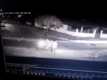 Video: Dvaja zlodeji prepadli muža na ulici. Vrátil im to šokujúcim spôsobom