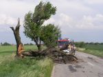 Hasiči v Bratislavskom kraji zasahujú pri popadaných stromoch