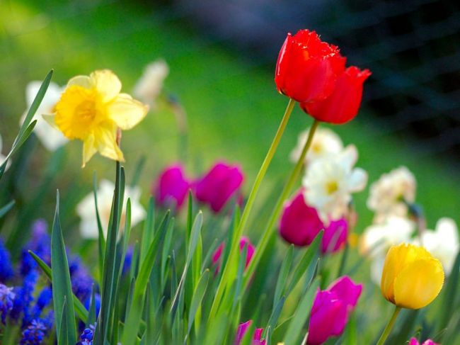 Prvý jarný deň: Príchod jari patril k najväčším sviatkom ľudstva