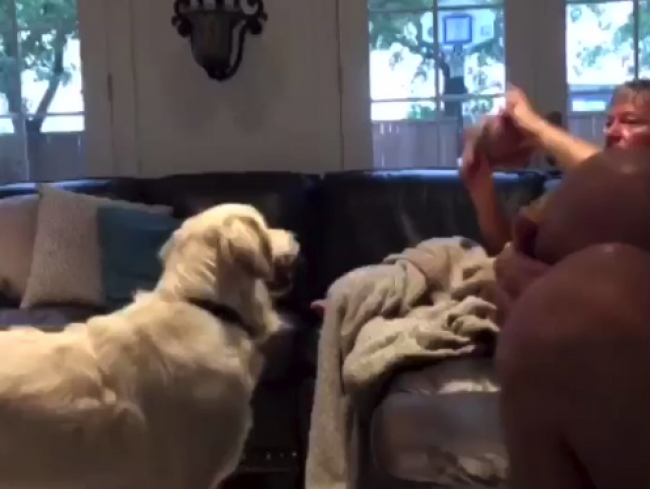 Video: Takto reaguje pes, keď jeho majiteľ trafí kôš