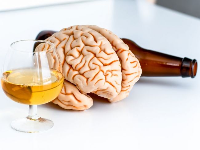Chcete skoncovať s alkoholom? Takto dlho trvá mozgu, kým sa vylieči z jeho účinkov