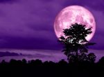 Ružový Mesiac už čoskoro rozžiari oblohu. Kde a kedy pozorovať nebeský fenomén?