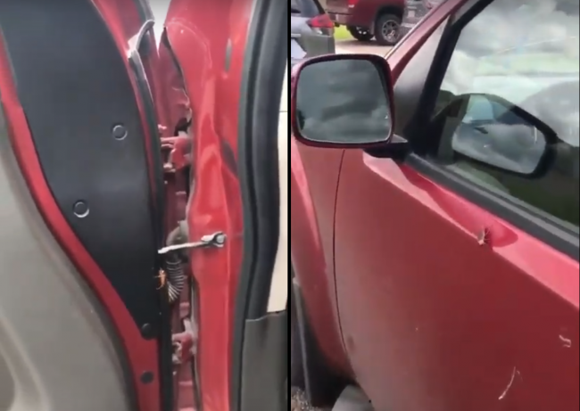 Video: Muž chcel z auta vyhnať švába. Jeho reakciu treba počuť