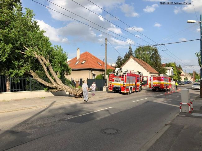 V bratislavskom Ružinove spadol strom na rodinný dom