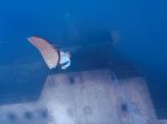 Video: Potápačka preplávala cez najvyhľadávanejší vrak lode na svete