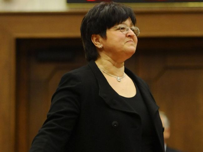 Kamenického má nahradiť v parlamente Darina Gabániová