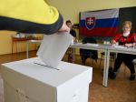 Vznikla petícia za zrušenie jedného volebného obvodu pre voľby do NRSR