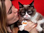 Zomrela slávna mačka Grumpy Cat