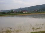 Pre okres Trenčín platí hydrologická výstraha 3. stupňa pred povodňami