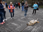 Video: Z tohto psa sa stala turistická atrakcia. Mnohí nepochopili, čo im naznačoval