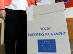 O mandát europoslanca sa uchádza o 12 kandidátov menej ako sa prihlásilo