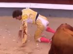 Video: Býk sa vypomstil toreádorovi, ten skončil s nepekným zranením