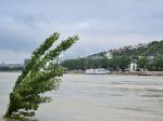 Pre Bratislavu platí hydrologická výstraha, Dunaj dosiahol 655 cm