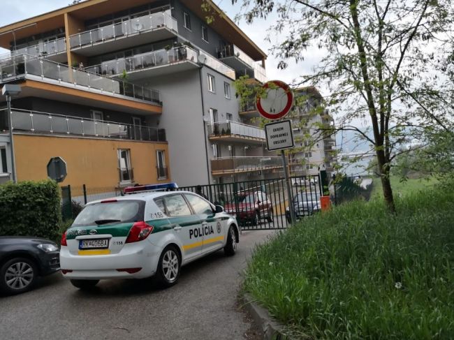 Sudca nechal vo väzbe mladistvú, obvinenú z vraždy 16-ročného chlapca