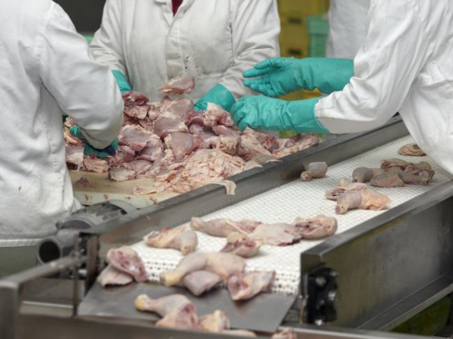 Na Slovensko sa dostalo mäso nakazené salmonelou
