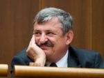 SNS na sneme zhodnotí svoju činnosť, plánovať má aj program volieb